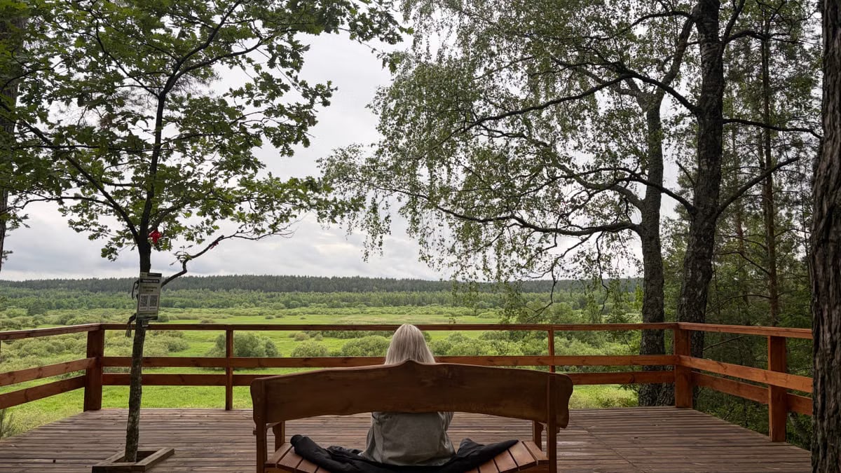 Serene scene of an individual meditating on a deck with a lush forest view.